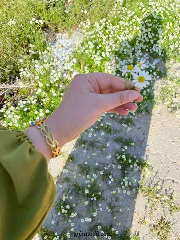 دیدگاه مشتری